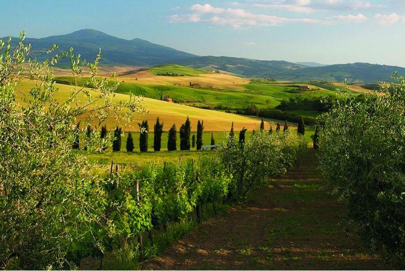 Le Traverse Pienza Buitenkant foto